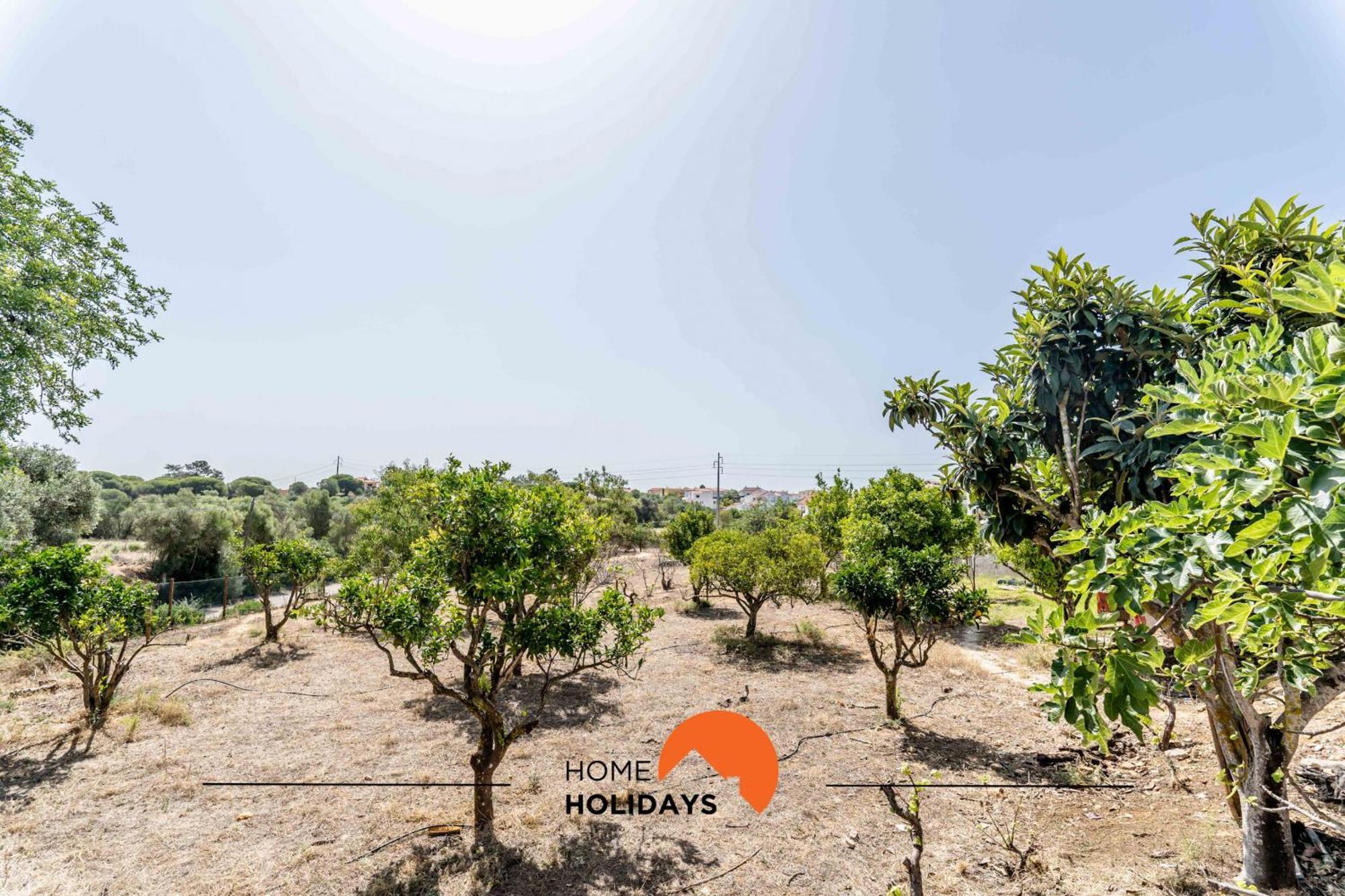 #178 Monte Das Churras 1 By Home Holidays 알부페이라 외부 사진